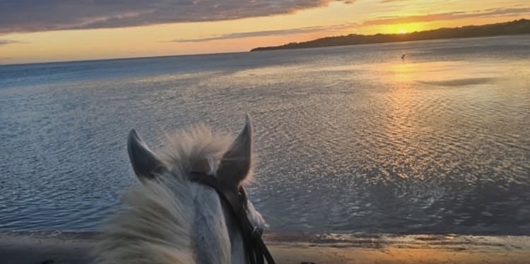 Coastline Beauty Ride (2 hr 30 min)