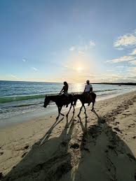 2 hr 30 min Malomalo Beach Ride